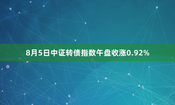 8月5日中证转债指数午盘收涨0.92%