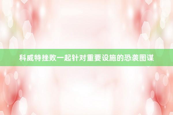 科威特挫败一起针对重要设施的恐袭图谋