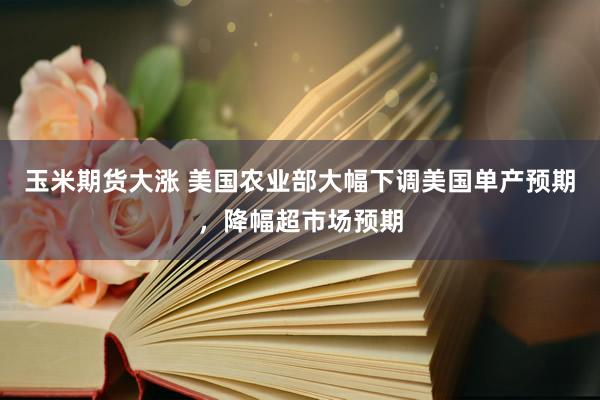 玉米期货大涨 美国农业部大幅下调美国单产预期，降幅超市场预期