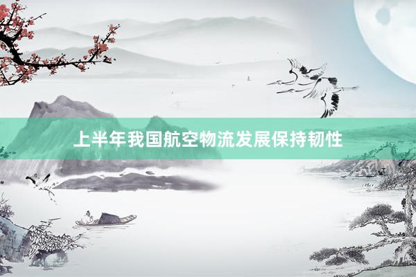 上半年我国航空物流发展保持韧性
