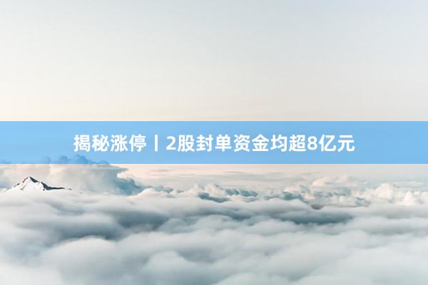 揭秘涨停丨2股封单资金均超8亿元