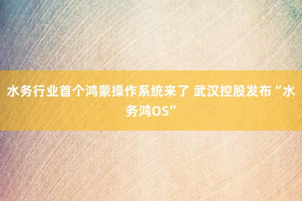 水务行业首个鸿蒙操作系统来了 武汉控股发布“水务鸿OS”
