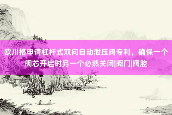 欧川格申请杠杆式双向自动泄压阀专利，确保一个阀芯开启时另一个必然关闭|阀门|阀腔