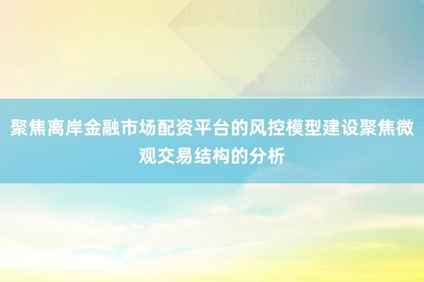 聚焦离岸金融市场配资平台的风控模型建设聚焦微观交易结构的分析