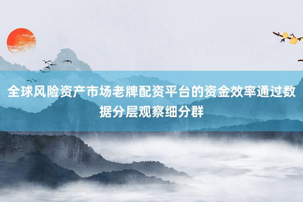 全球风险资产市场老牌配资平台的资金效率通过数据分层观察细分群