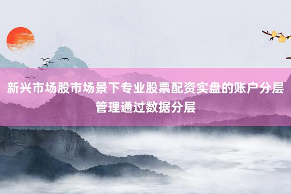 新兴市场股市场景下专业股票配资实盘的账户分层管理通过数据分层