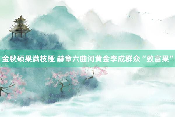 金秋硕果满枝桠 赫章六曲河黄金李成群众“致富果”