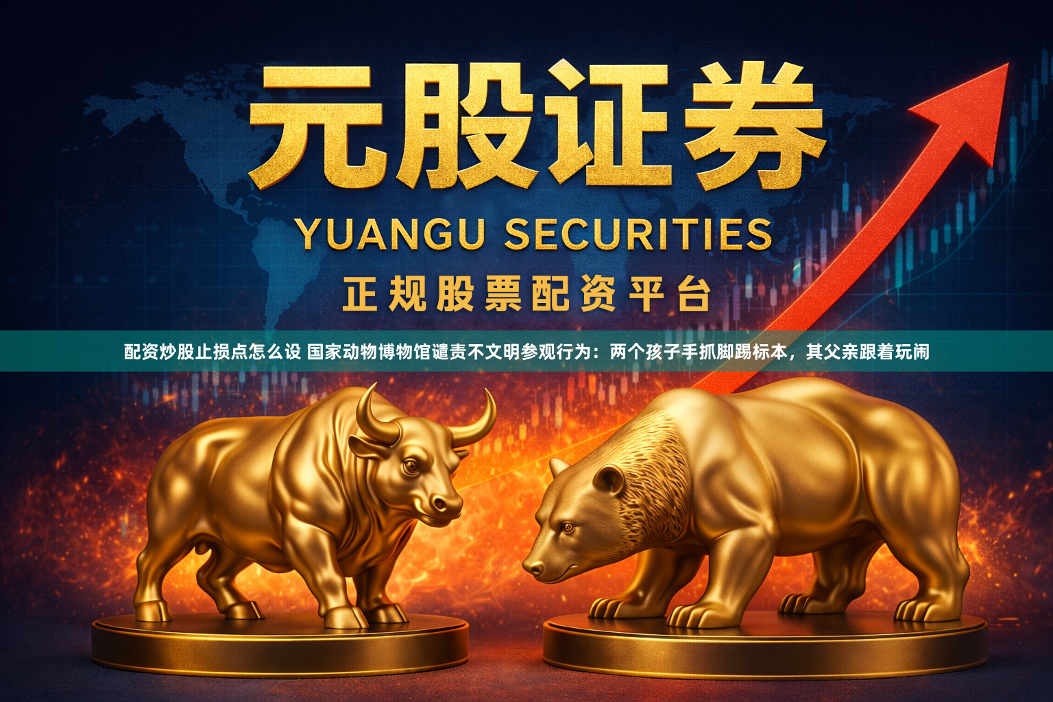 配资炒股止损点怎么设 国家动物博物馆谴责不文明参观行为：两个孩子手抓脚踢标本，其父亲跟着玩闹