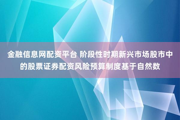 金融信息网配资平台 阶段性时期新兴市场股市中的股票证券配资风险预算制度基于自然数