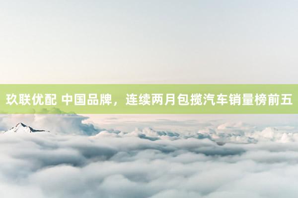 玖联优配 中国品牌，连续两月包揽汽车销量榜前五
