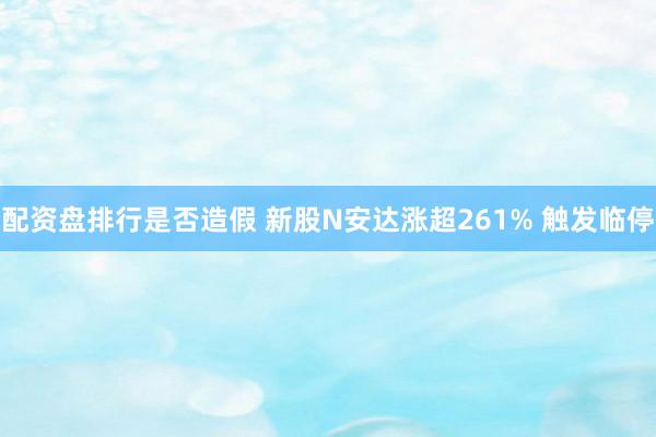 配资盘排行是否造假 新股N安达涨超261% 触发临停