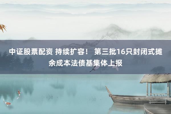 中证股票配资 持续扩容！ 第三批16只封闭式摊余成本法债基集体上报