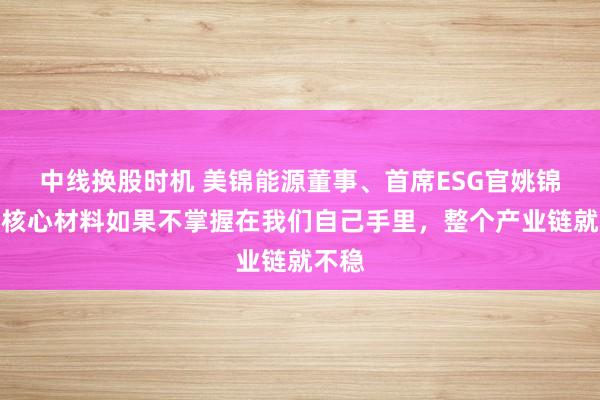 中线换股时机 美锦能源董事、首席ESG官姚锦丽：核心材料如果不掌握在我们自己手里，整个产业链就不稳