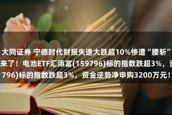 大同证券 宁德时代财报失速大跌超10%惨遭“腰斩”，什么情况？最新回应来了！电池ETF汇添富(159796)标的指数跌超3%，资金逆势净申购3200万元！