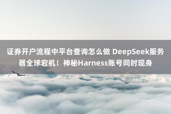 证券开户流程中平台查询怎么做 DeepSeek服务器全球宕机！神秘Harness账号同时现身