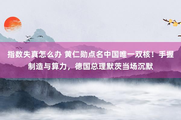 指数失真怎么办 黄仁勋点名中国唯一双核！手握制造与算力，德国总理默茨当场沉默