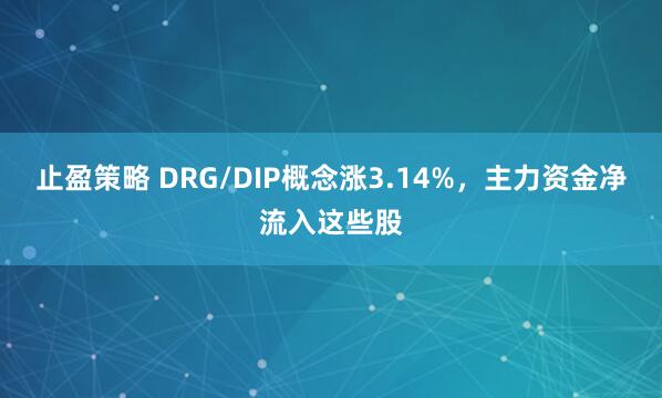 止盈策略 DRG/DIP概念涨3.14%，主力资金净流入这些股